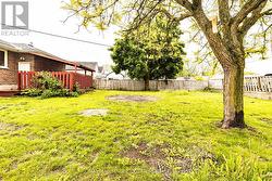 partially fenced backyard -