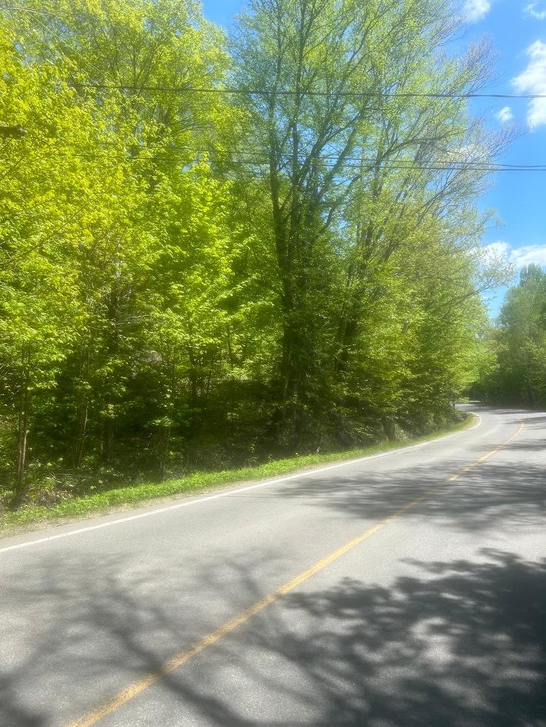 Terre/Terrain - Ch. Du Lac-Blanc, Saint-Donat, QC