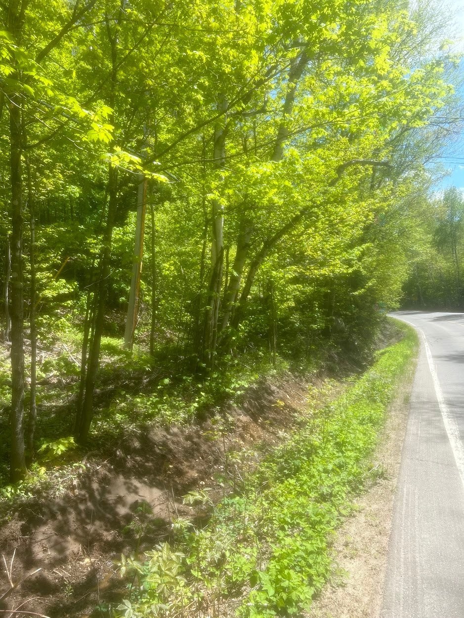 Terre/Terrain - Ch. Du Lac-Blanc, Saint-Donat, QC