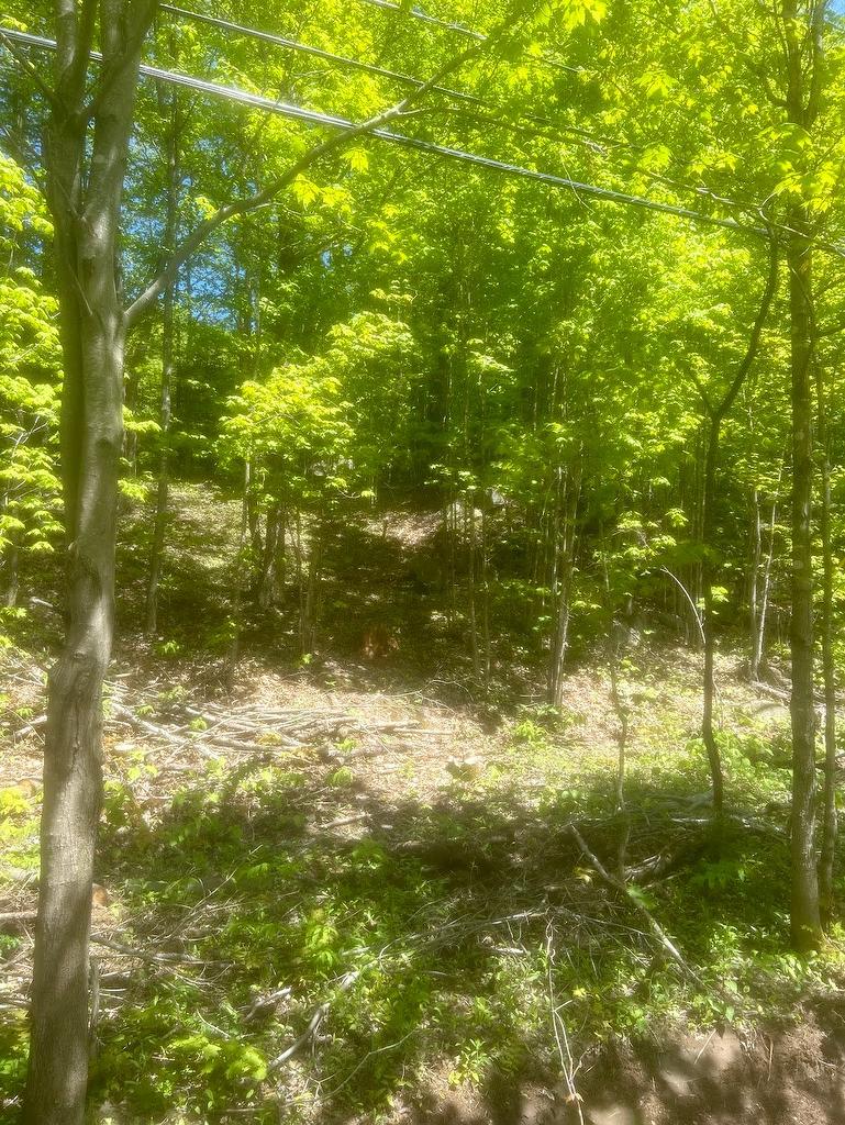 Terre/Terrain - Ch. Du Lac-Blanc, Saint-Donat, QC