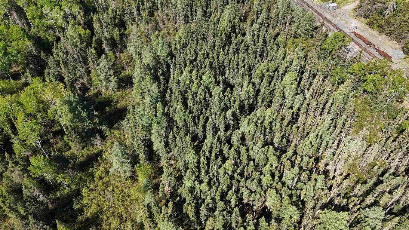 Part 1&2 Jones Road, Kenora, ON