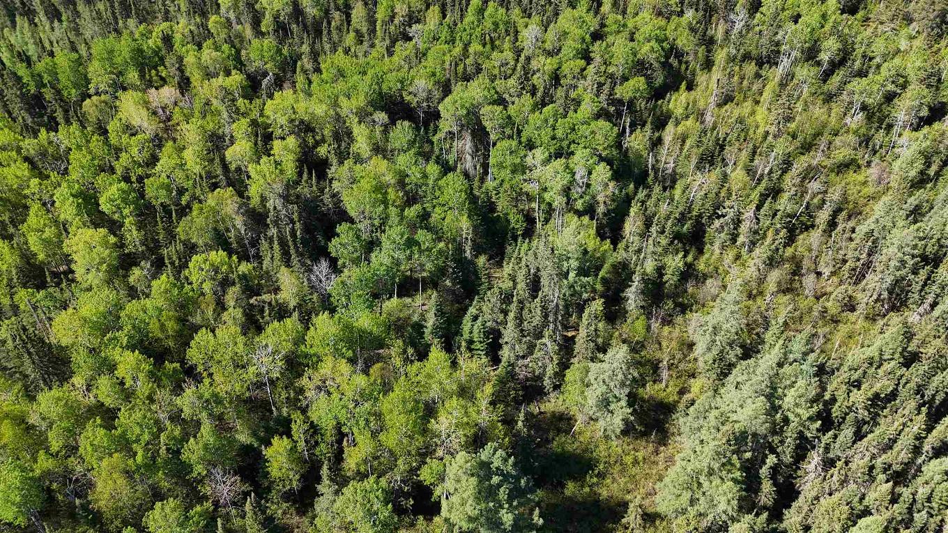 Part 1&2 Jones Road, Kenora, ON