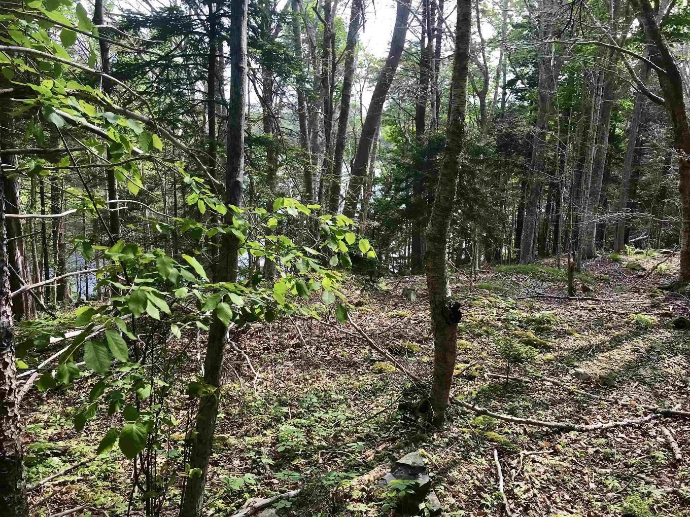 2 Acres Weymouth Falls Road, Weymouth Falls, NS