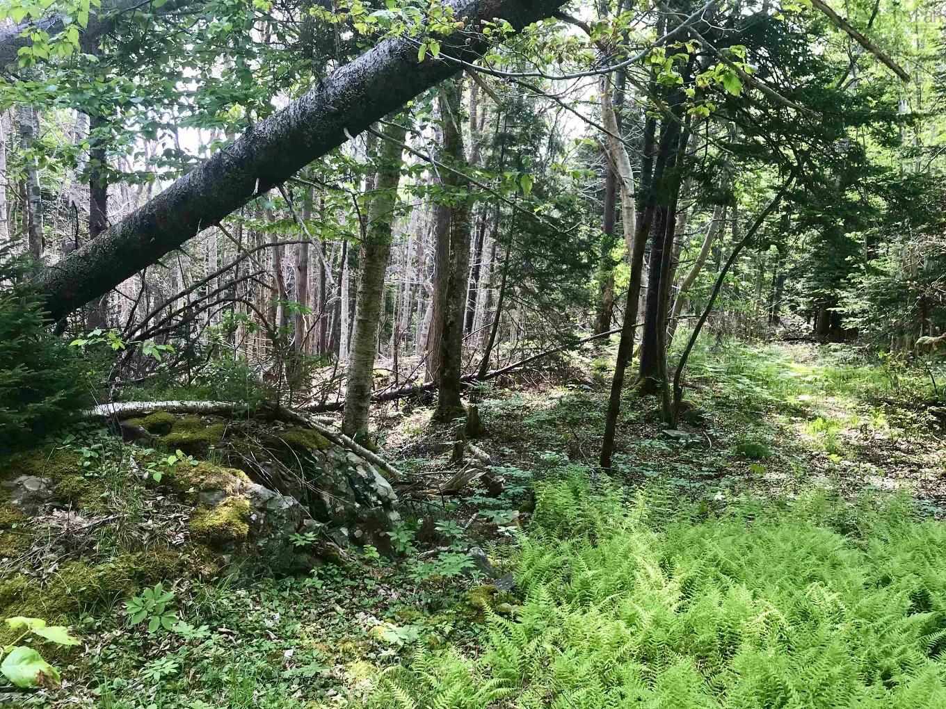 2 Acres Weymouth Falls Road, Weymouth Falls, NS