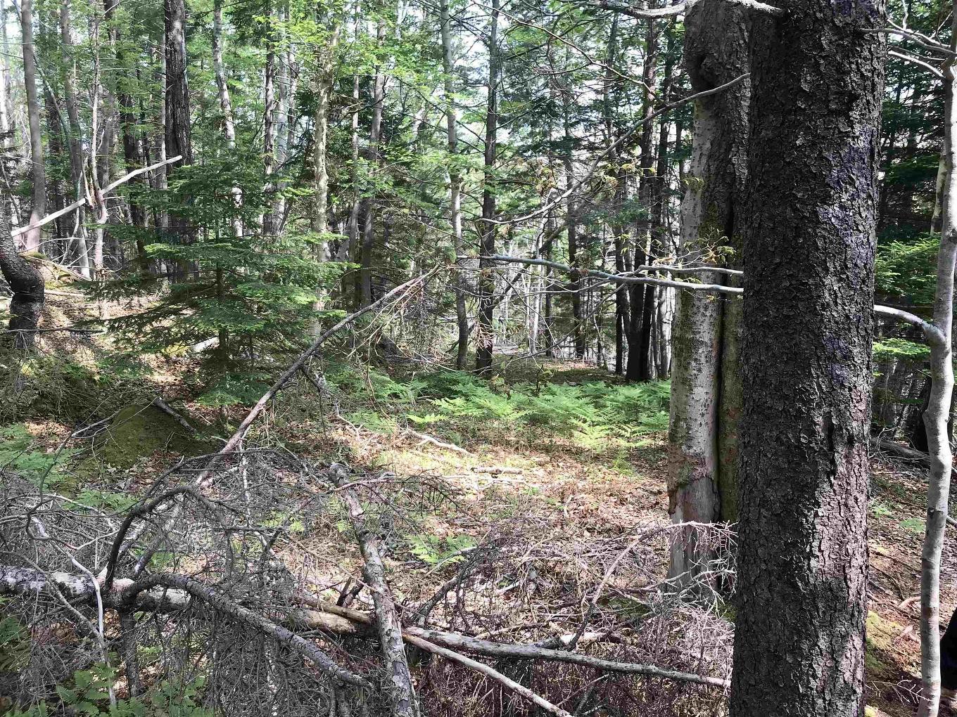 2 Acres Weymouth Falls Road, Weymouth Falls, NS