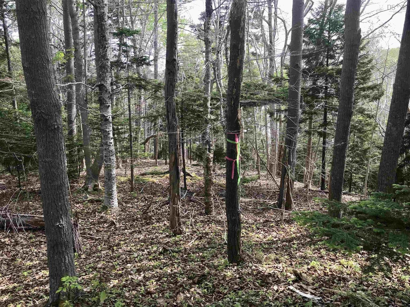 2 Acres Weymouth Falls Road, Weymouth Falls, NS