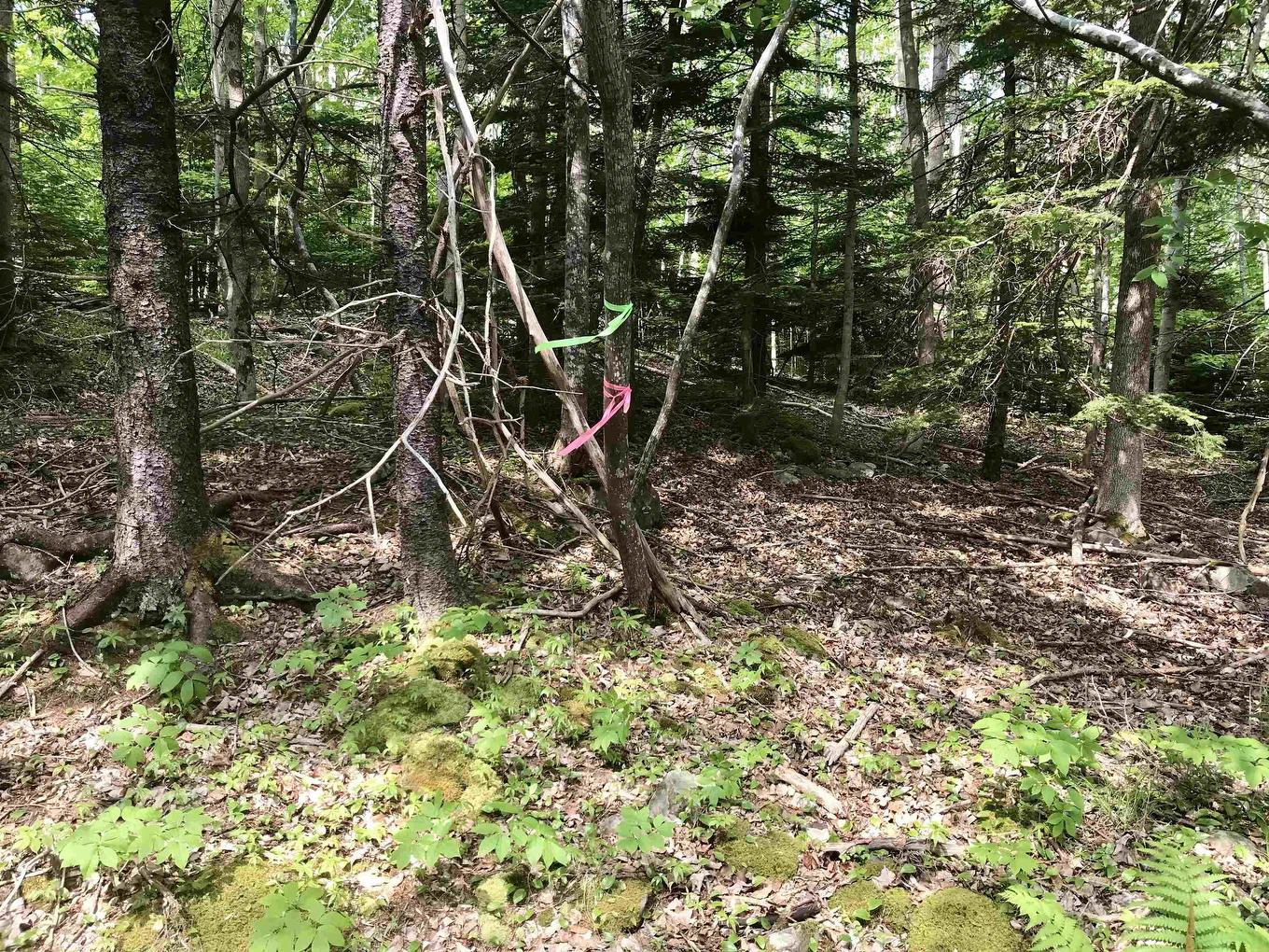 2 Acres Weymouth Falls Road, Weymouth Falls, NS