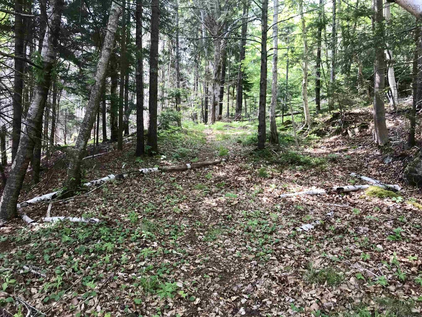 2 Acres Weymouth Falls Road, Weymouth Falls, NS