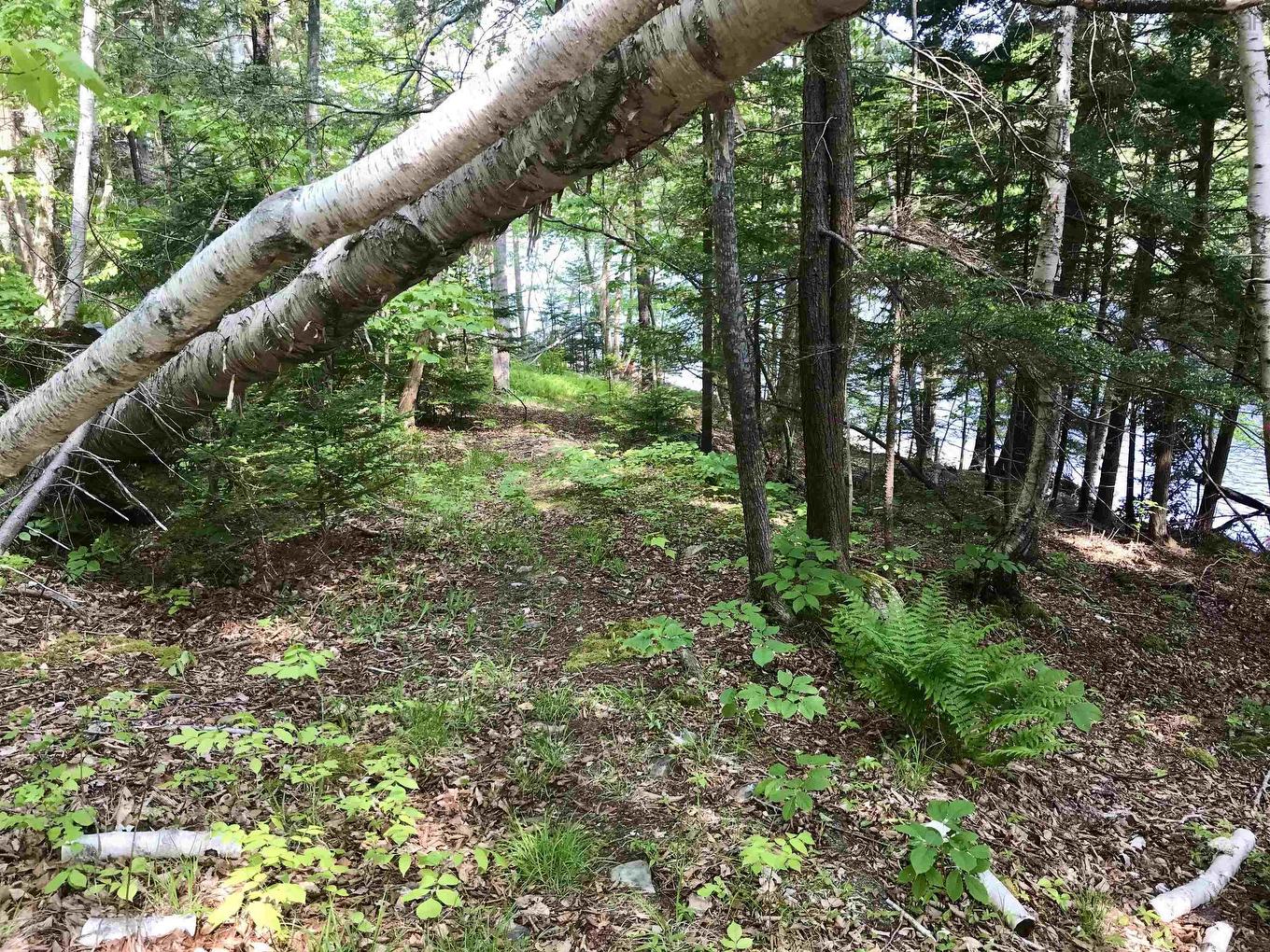 2 Acres Weymouth Falls Road, Weymouth Falls, NS