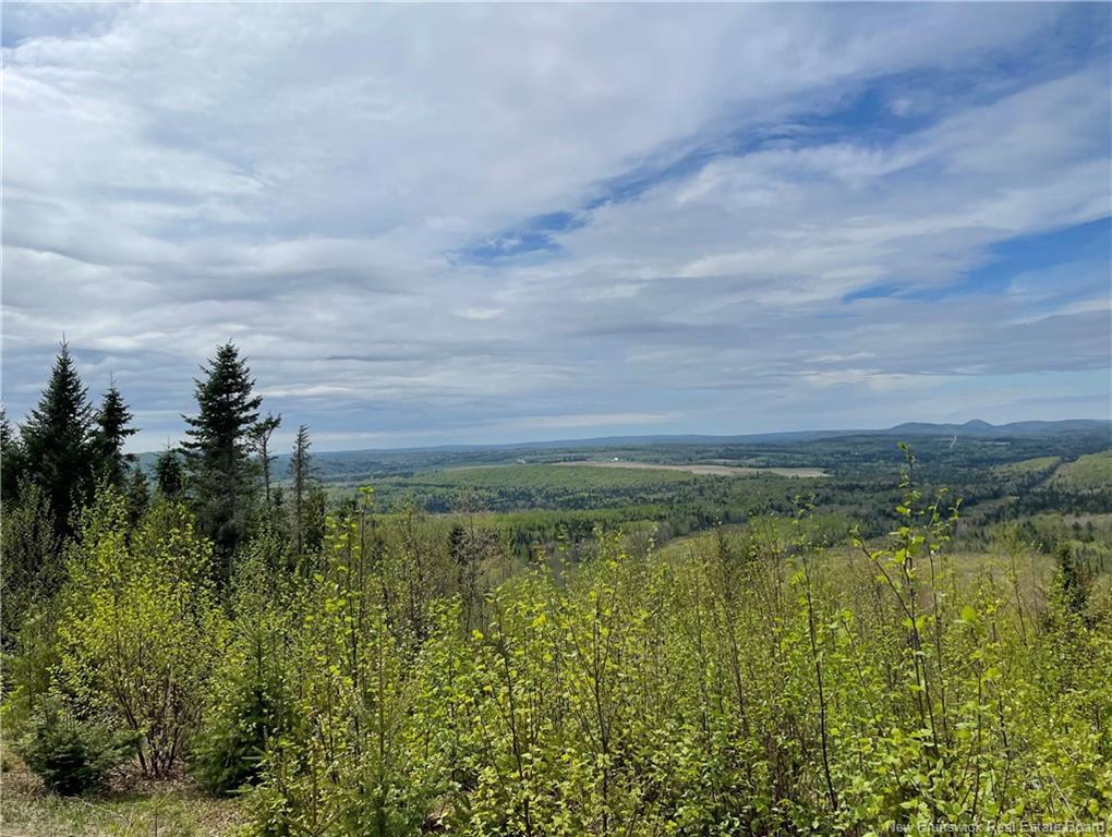 Lot Howland Ridge Rd, Millville, NB
