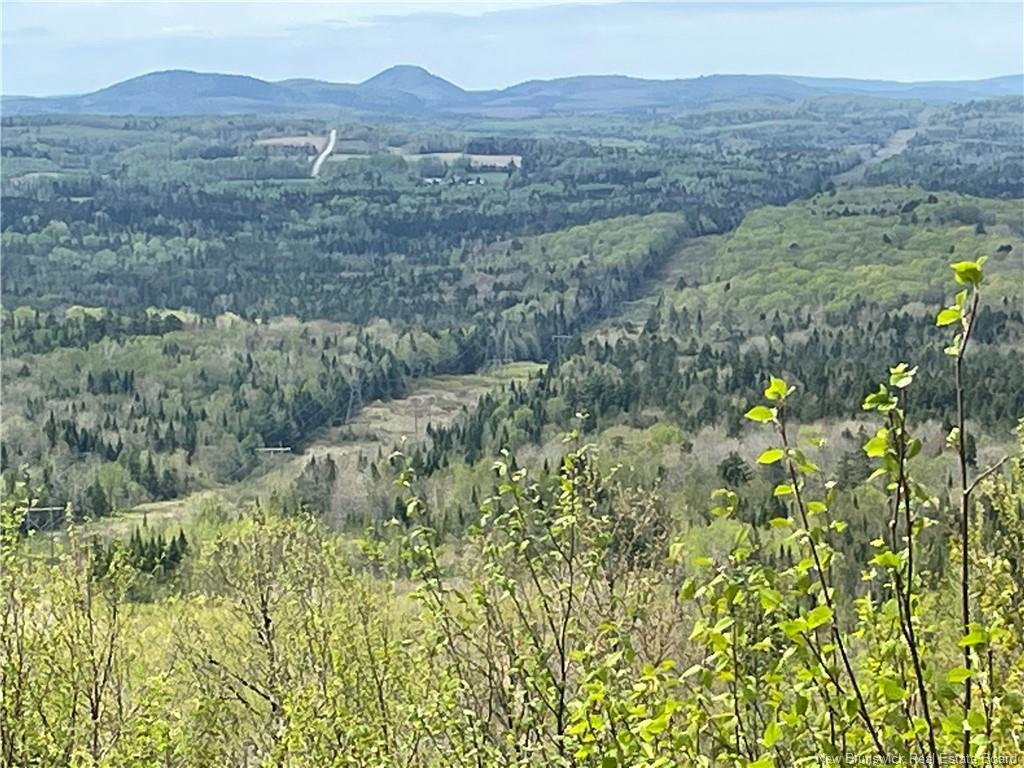 Lot Howland Ridge Rd, Millville, NB