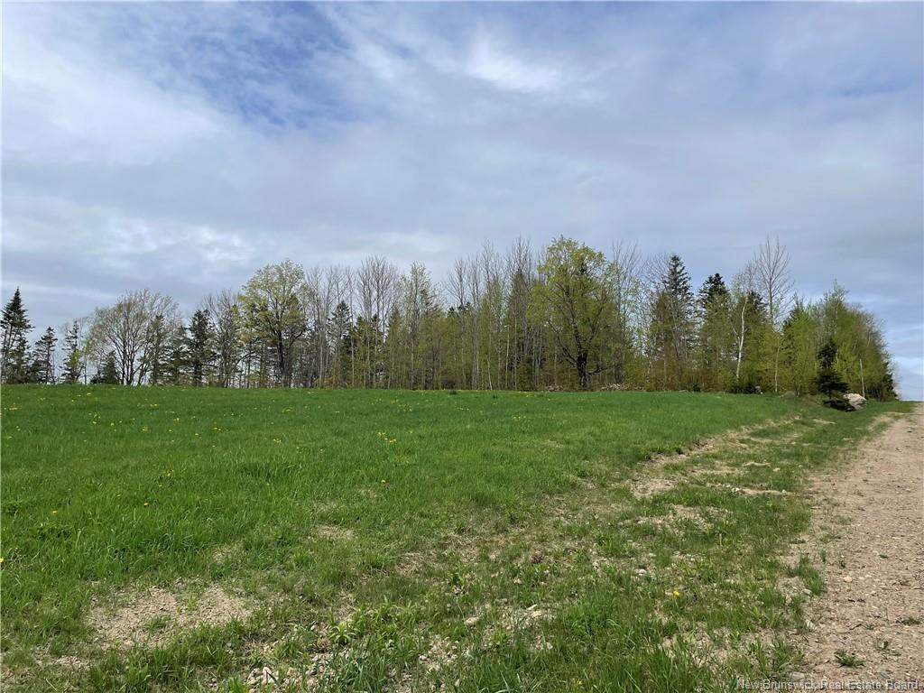 Lot Howland Ridge Rd, Millville, NB