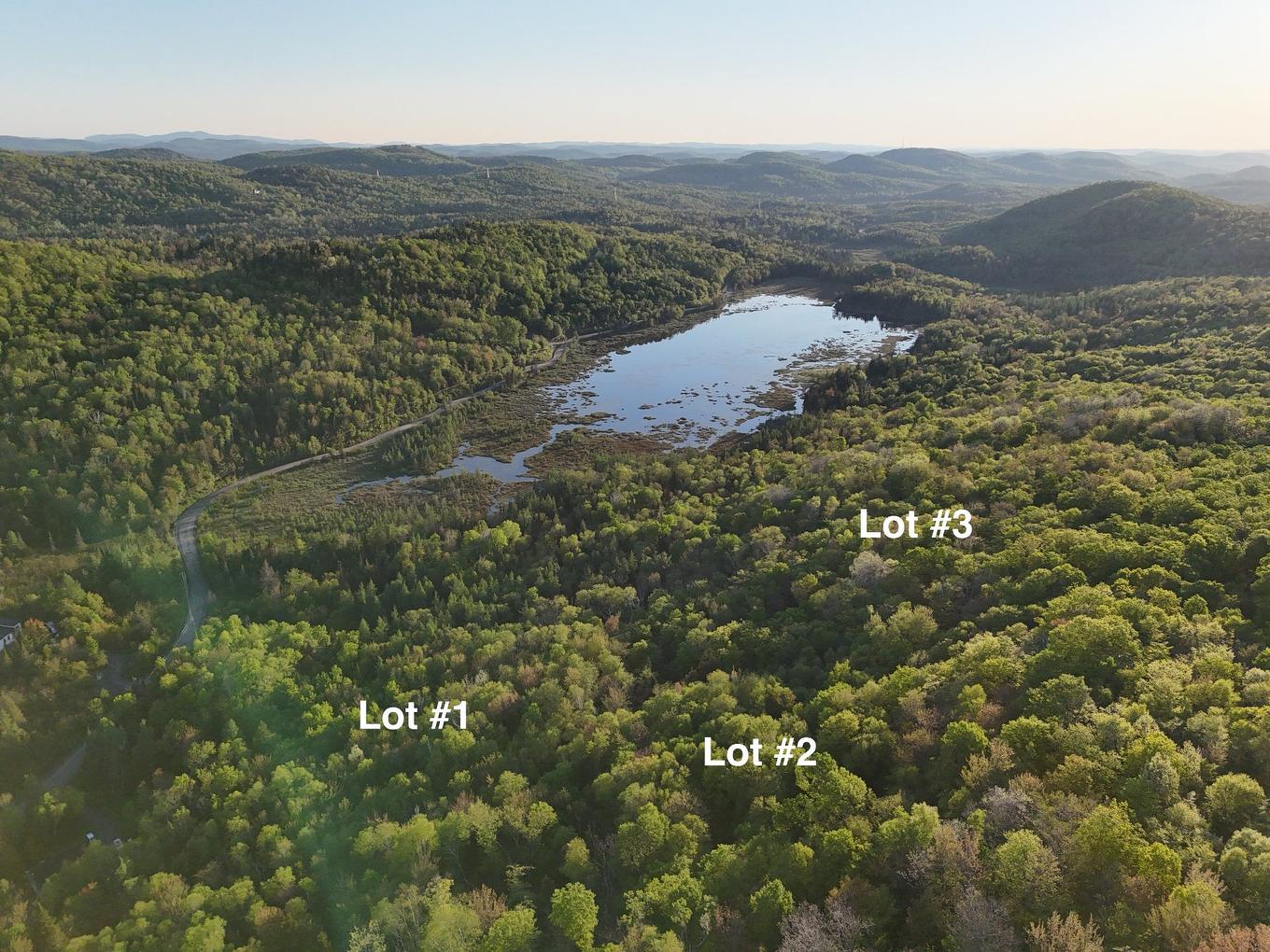 Vue d'ensemble - Ch. Du Moulin, Sainte-Adèle, QC