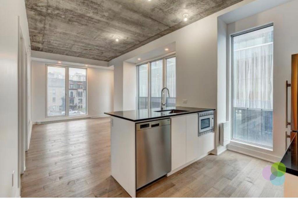 Kitchen - 213-2300 Rue Tupper, Montréal (Ville-Marie), QC - Indoor Photo Showing Kitchen