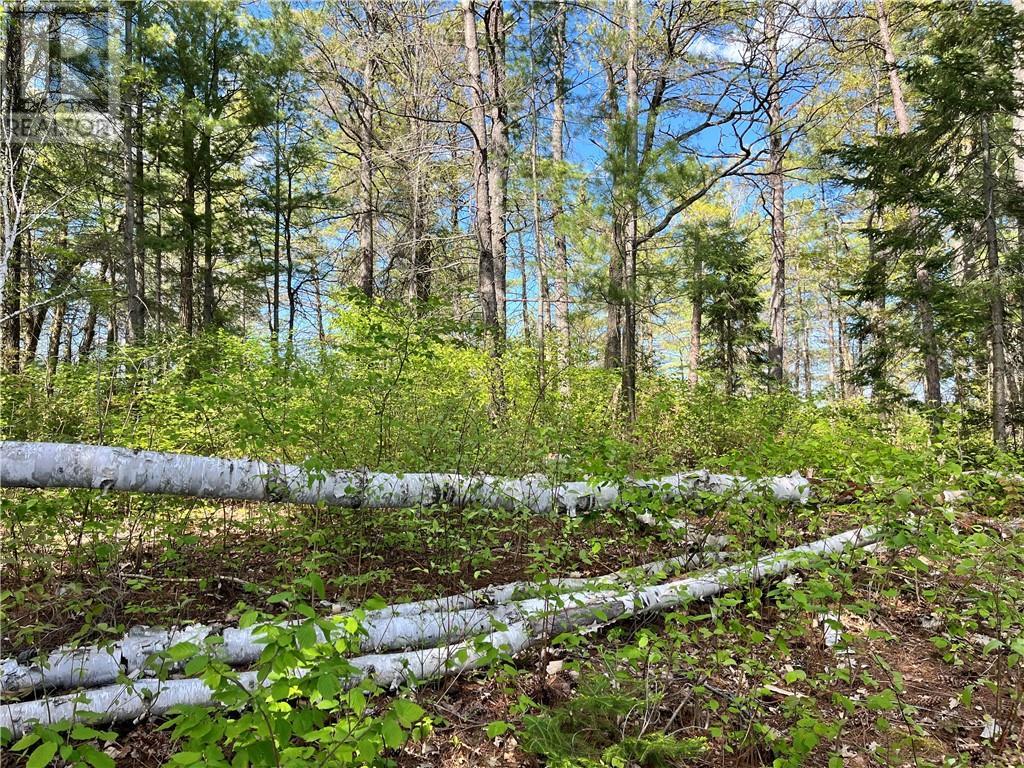 Wm3-1 Island, Lavigne, ON