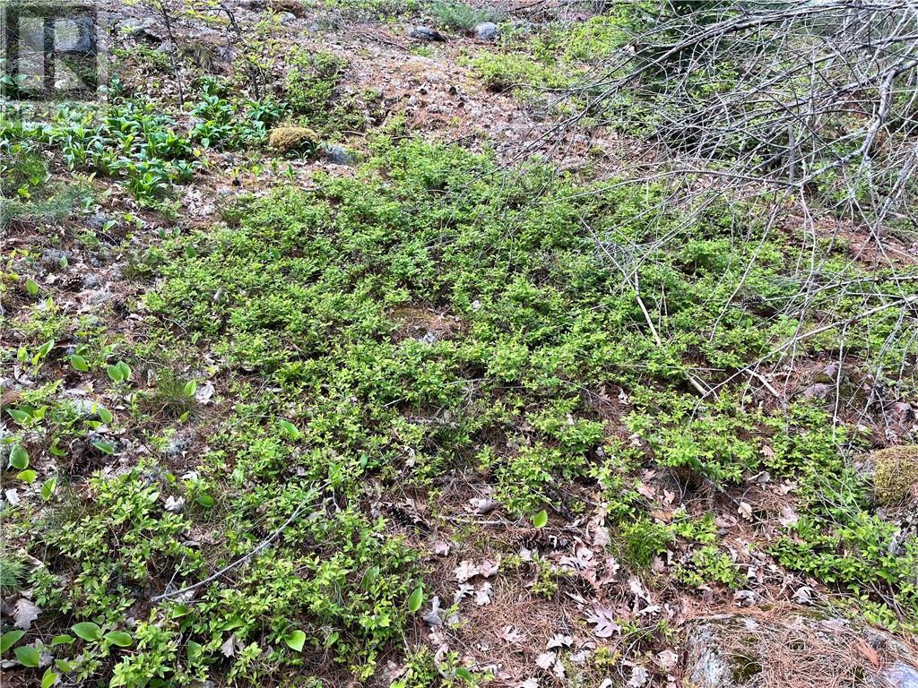 Wm3-1 Island, Lavigne, ON