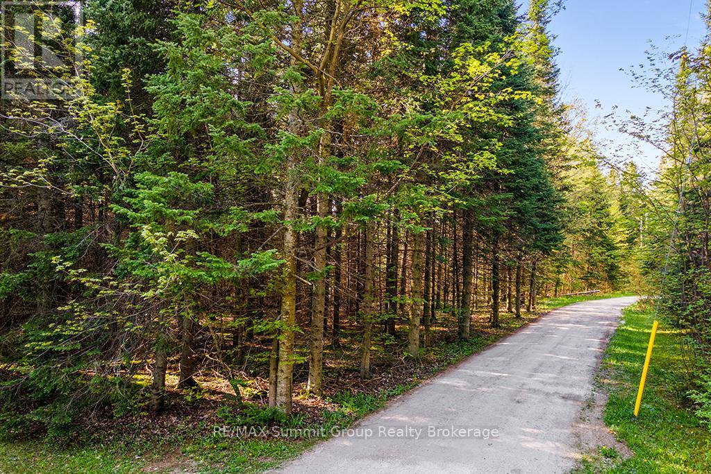 132 South View Lane, Grey Highlands, ON