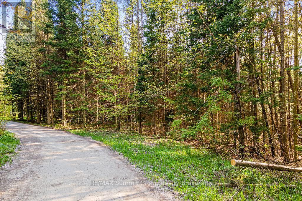 132 South View Lane, Grey Highlands, ON