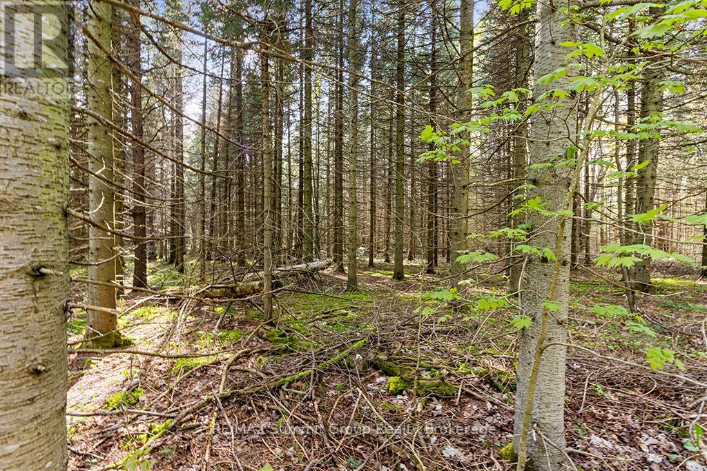 132 South View Lane, Grey Highlands, ON