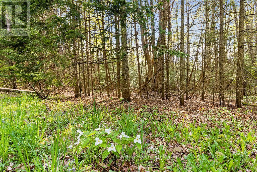 132 South View Lane, Grey Highlands, ON