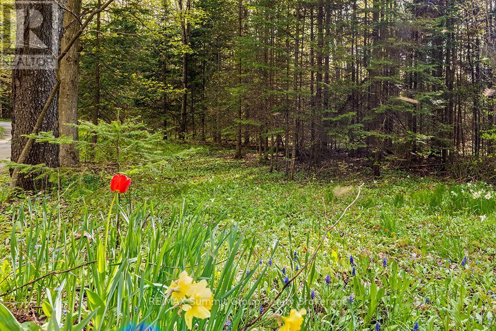 132 South View Lane, Grey Highlands, ON