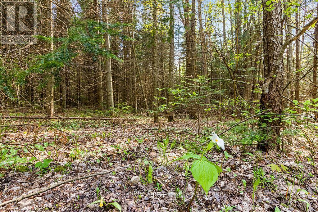 132 South View Lane, Grey Highlands, ON