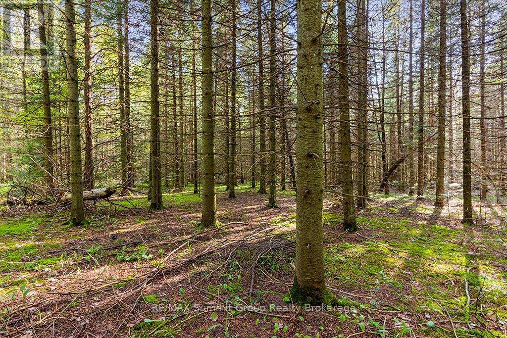 132 South View Lane, Grey Highlands, ON