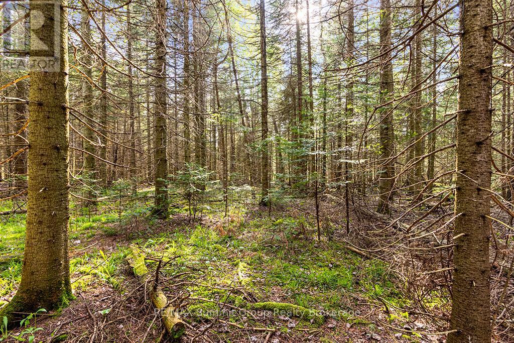 132 South View Lane, Grey Highlands, ON