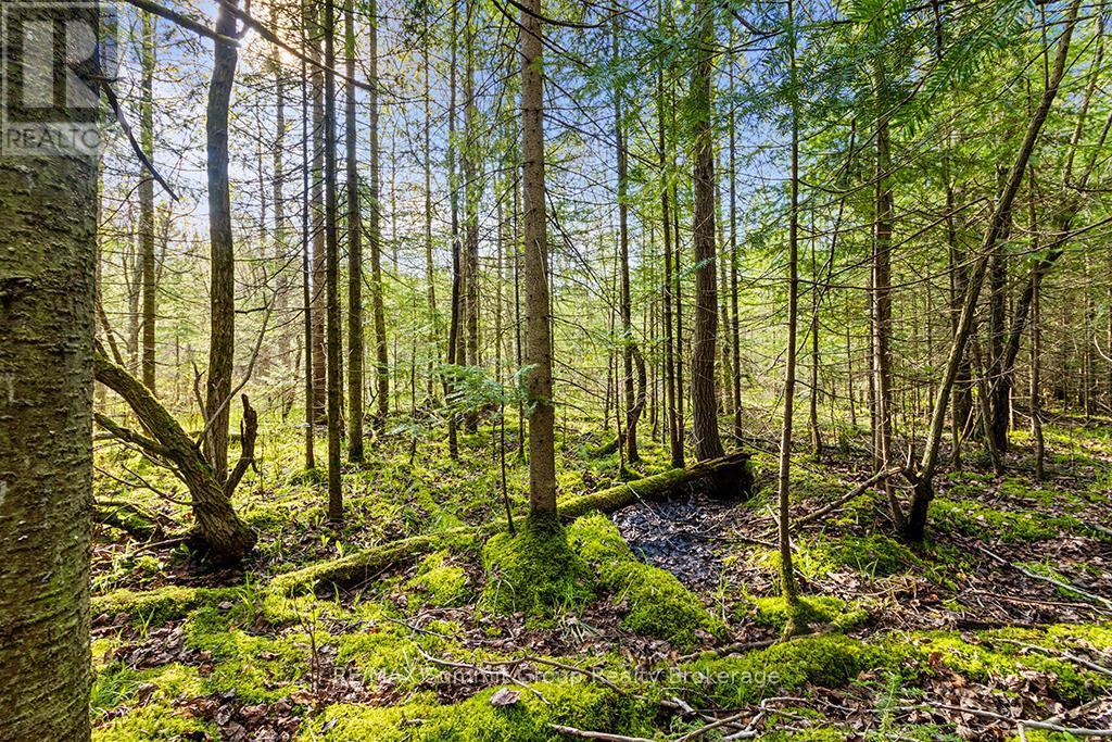 132 South View Lane, Grey Highlands, ON