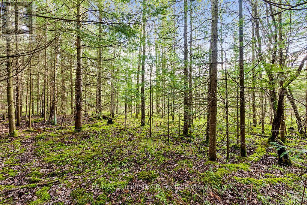 132 South View Lane, Grey Highlands, ON