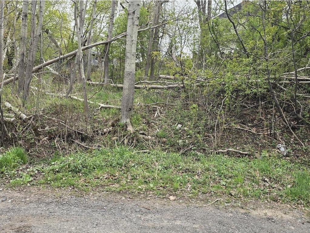 Lot 2 Brook Street, Trenton, NS