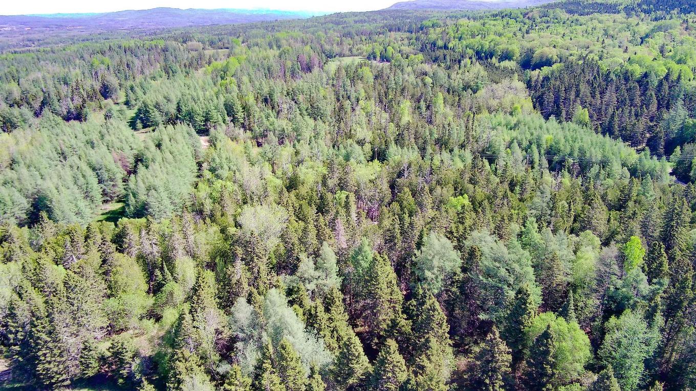 Terre/Terrain - Route 132 E., New Richmond, QC