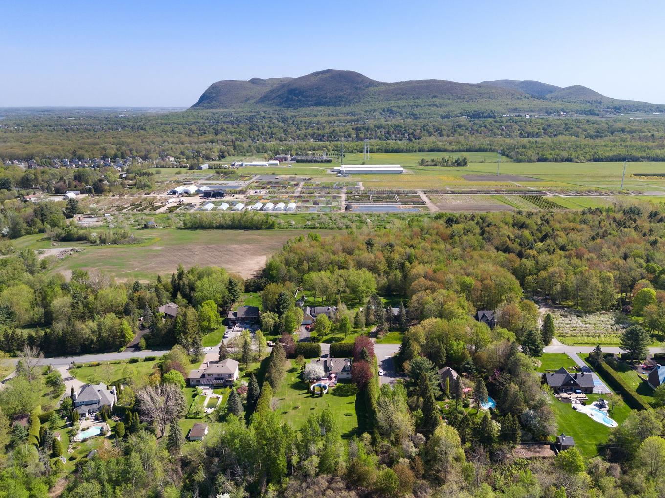 Vue d'ensemble - 1334 Rue Des Peupliers, Mont-Saint-Hilaire, QC - Outdoor With View