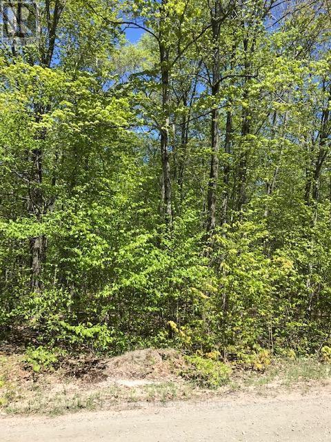 10 Parker Bay Road, Whitestone, ON