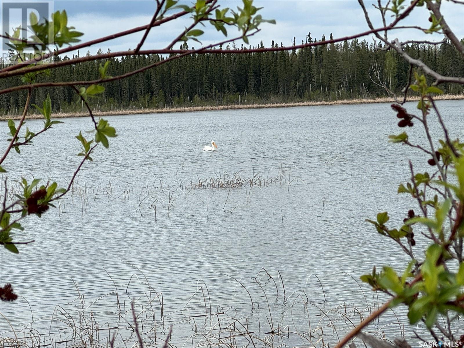 On Dore Road, Dore Lake, SK - Outdoor With Body Of Water With View