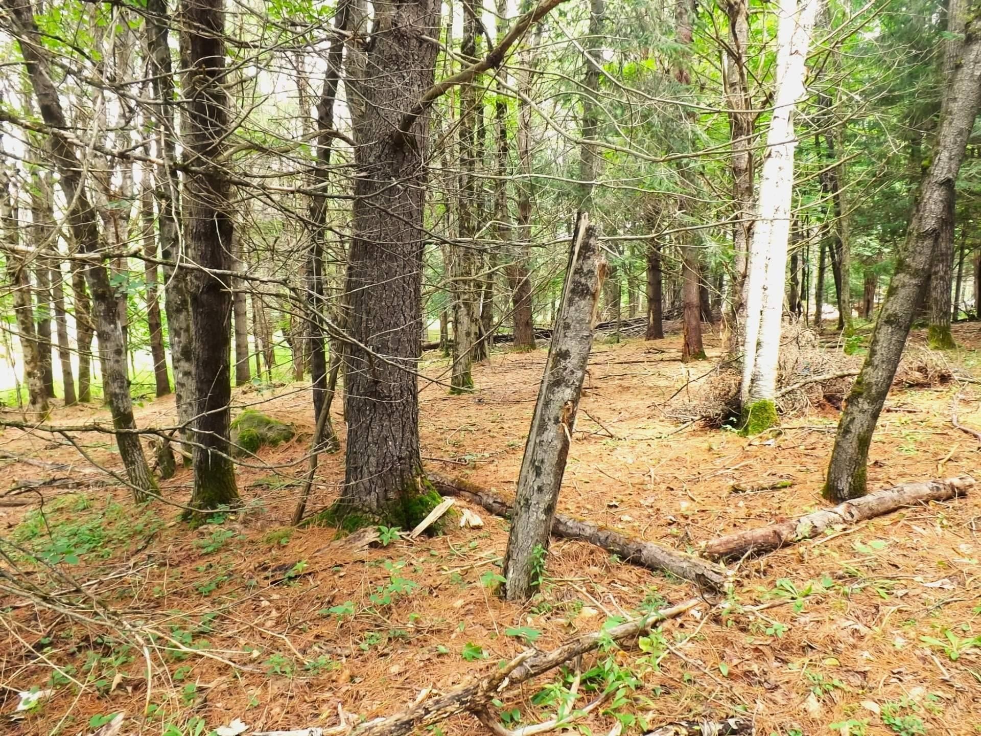 Terre/Terrain - 18 Ch. Dewar, Harrington, QC