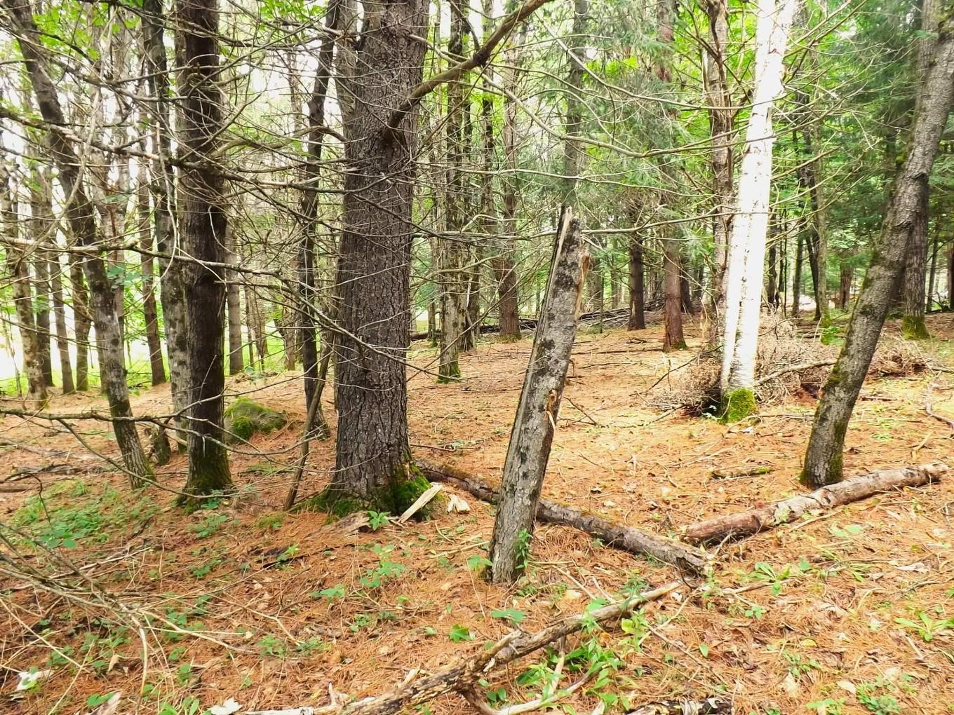 Terre/Terrain - 18 Ch. Dewar, Harrington, QC