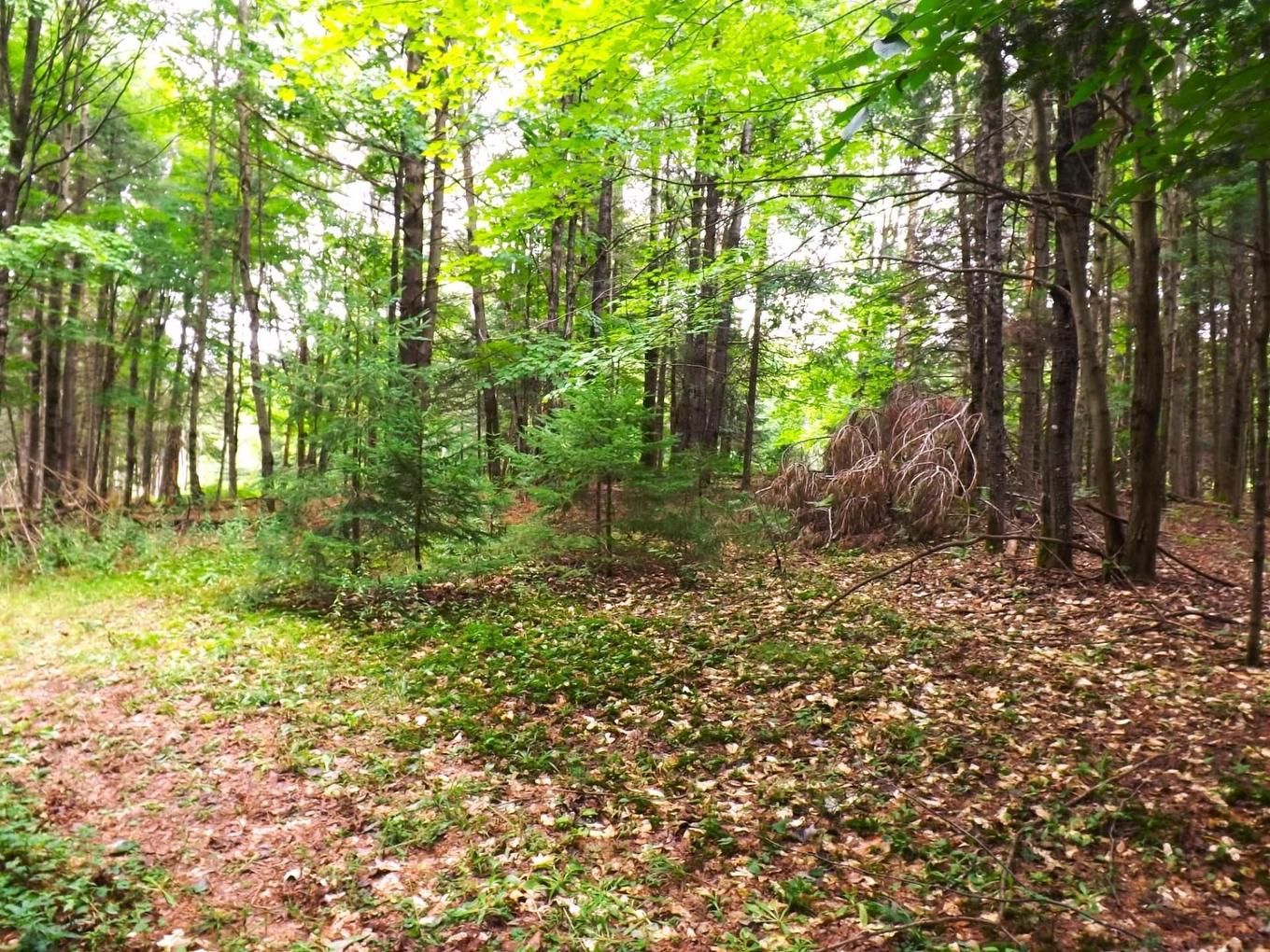 Terre/Terrain - 18 Ch. Dewar, Harrington, QC