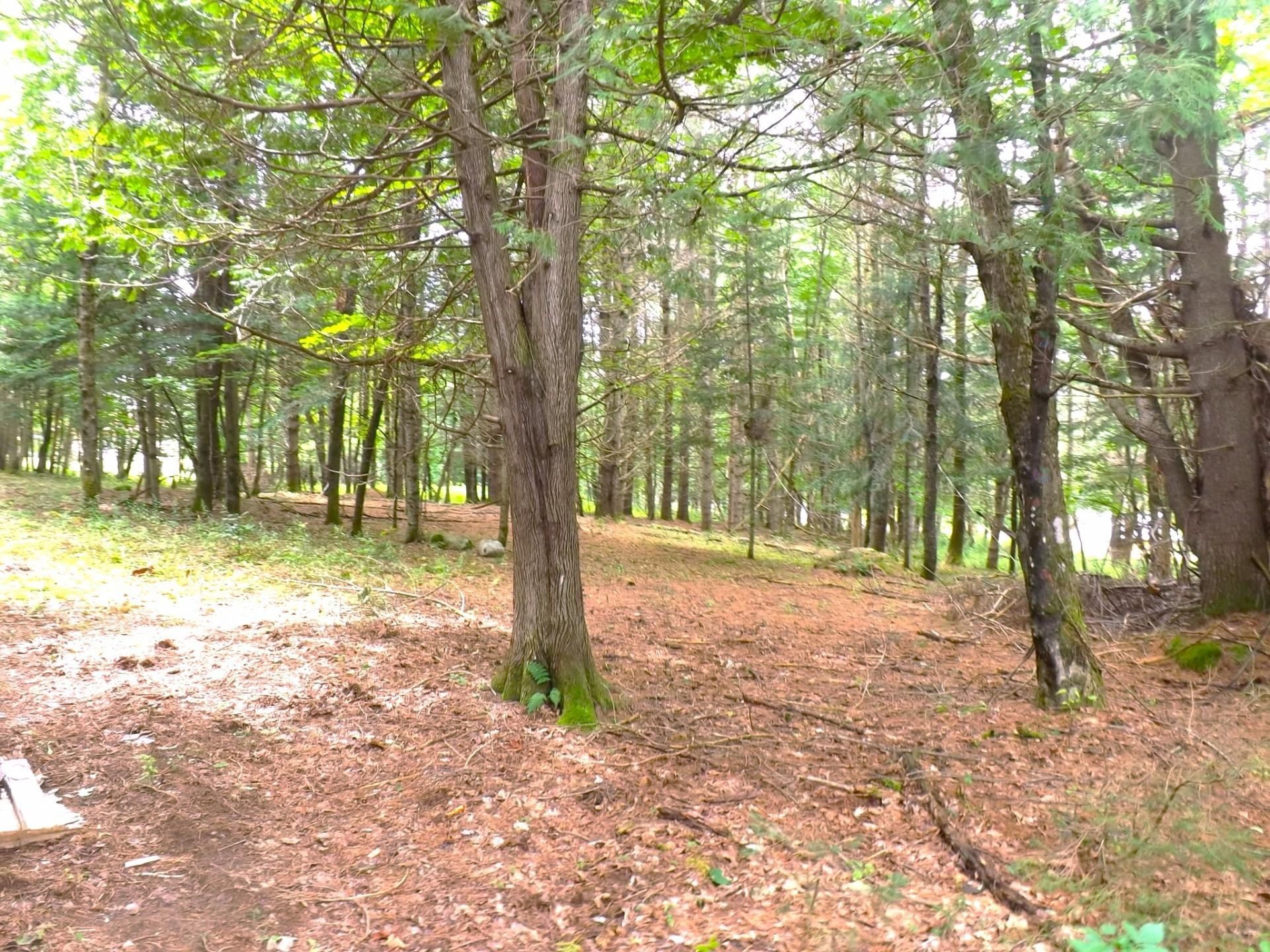 Terre/Terrain - 18 Ch. Dewar, Harrington, QC