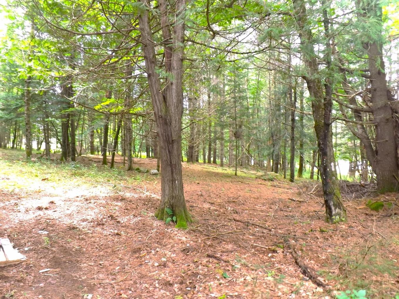 Terre/Terrain - 18 Ch. Dewar, Harrington, QC