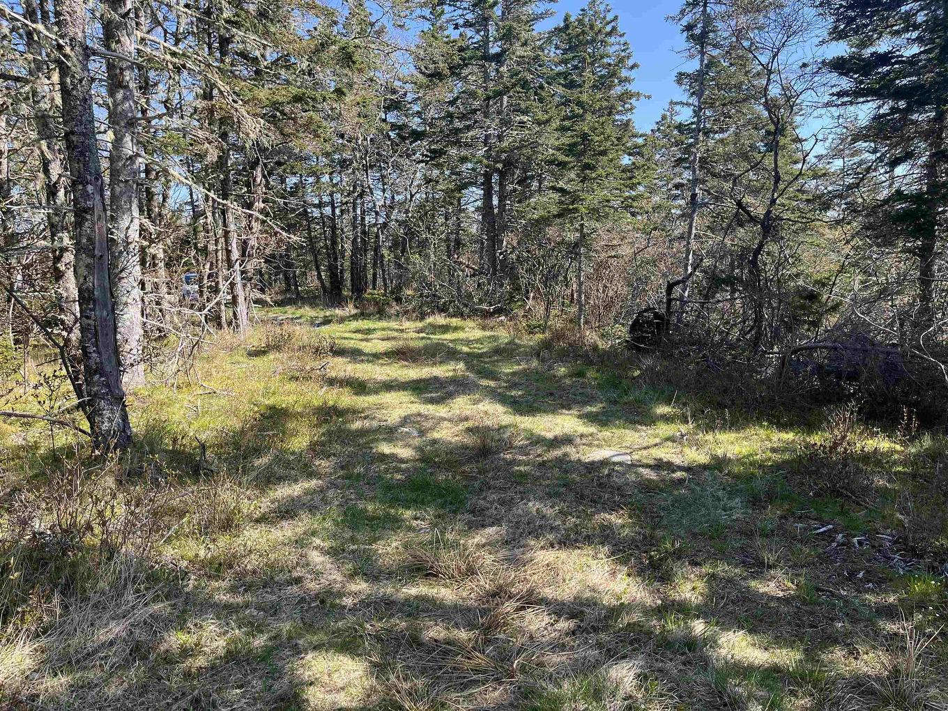 2685 Port La Tour Road, Upper Port La Tour, NS