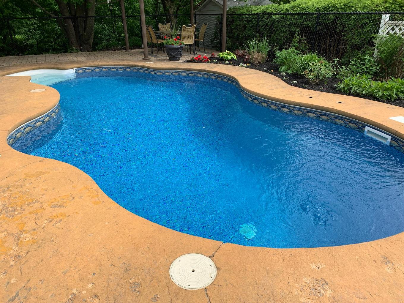 Piscine - 11 Rue Dupuis, Saint-Jacques, QC - Outdoor With In Ground Pool With Backyard