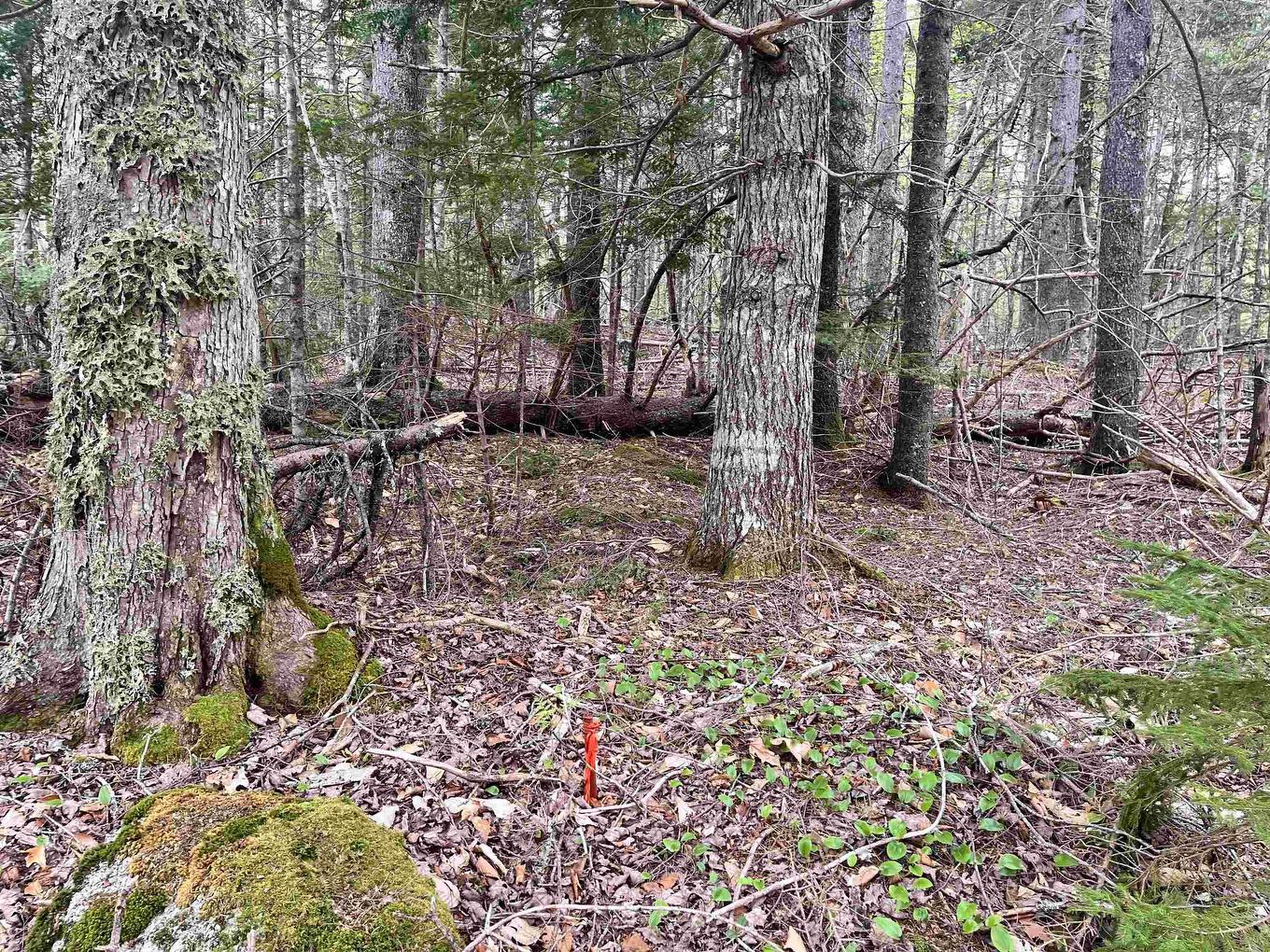 Lot Vb1 Camp Lake Drive, New Ross, NS