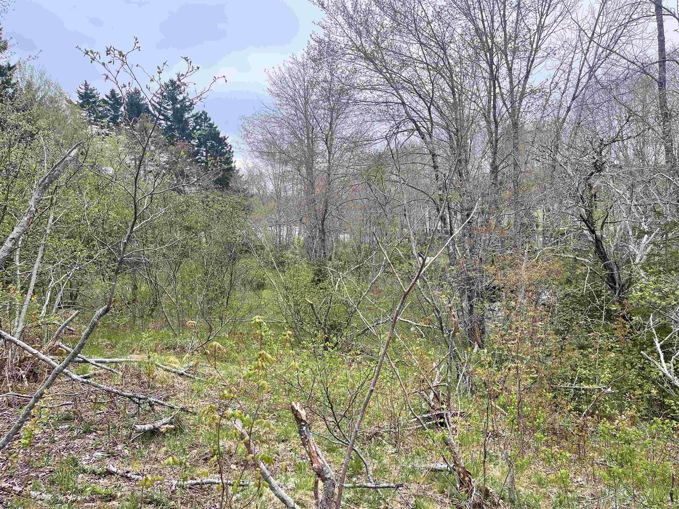 Lot Vb1 Camp Lake Drive, New Ross, NS