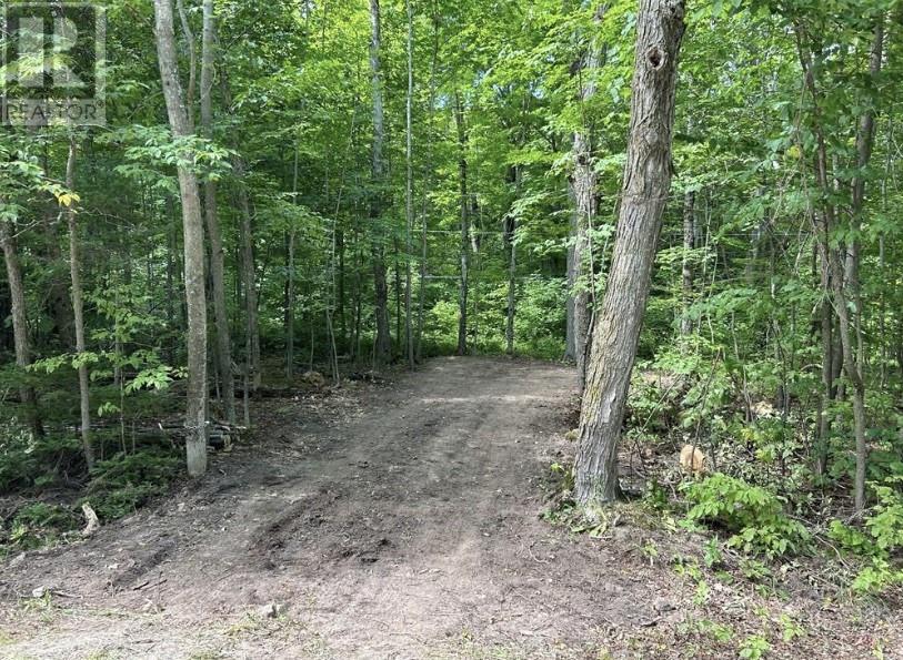 N/A Monument Road, Spring Bay, ON