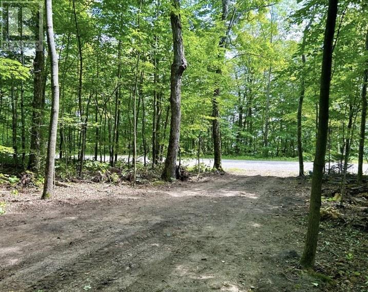 N/A Monument Road, Spring Bay, ON