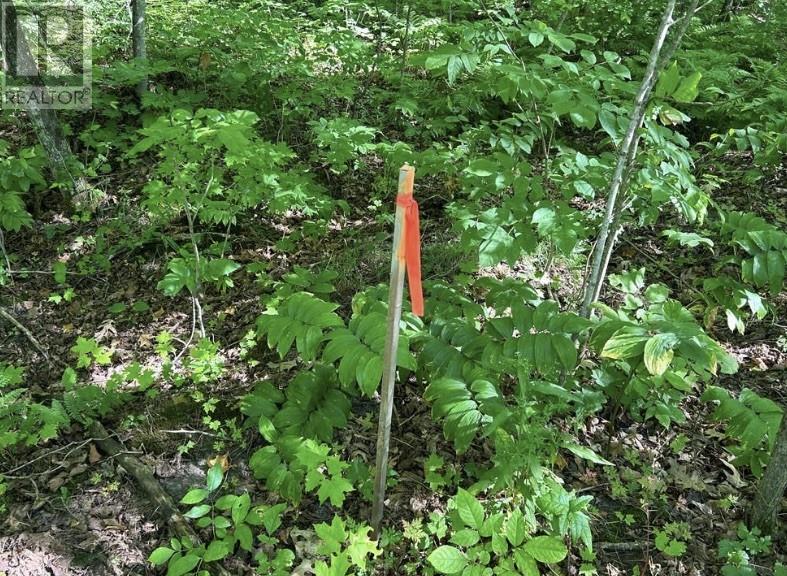 N/A Monument Road, Spring Bay, ON