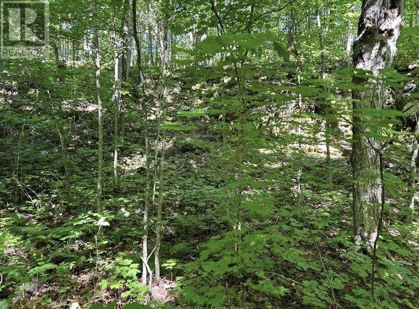 N/A Monument Road, Spring Bay, ON