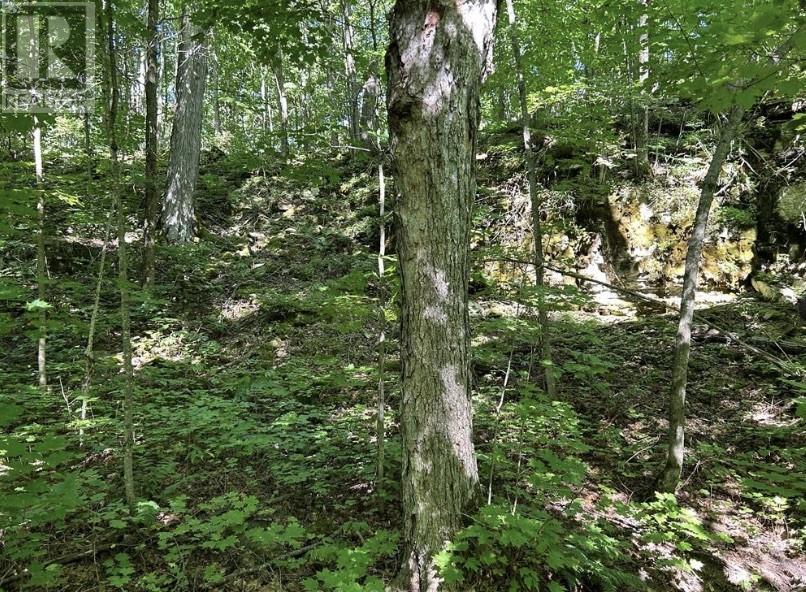 N/A Monument Road, Spring Bay, ON