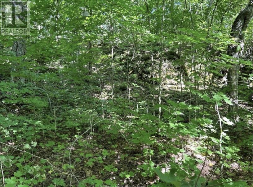 N/A Monument Road, Spring Bay, ON